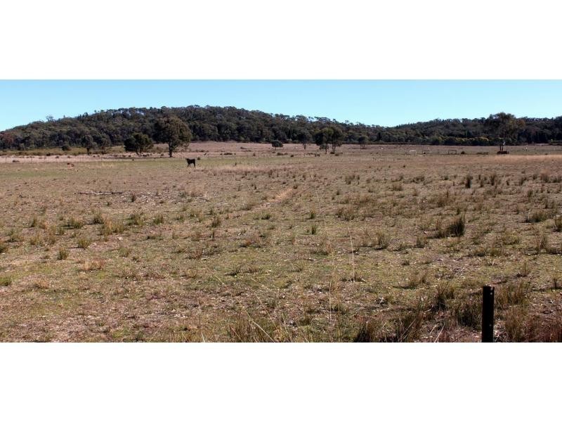 “Pinevale” Boomley Road, Elong Elong NSW 2831