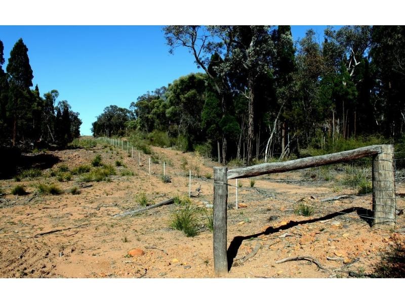 “Pinevale” Boomley Road, Elong Elong NSW 2831