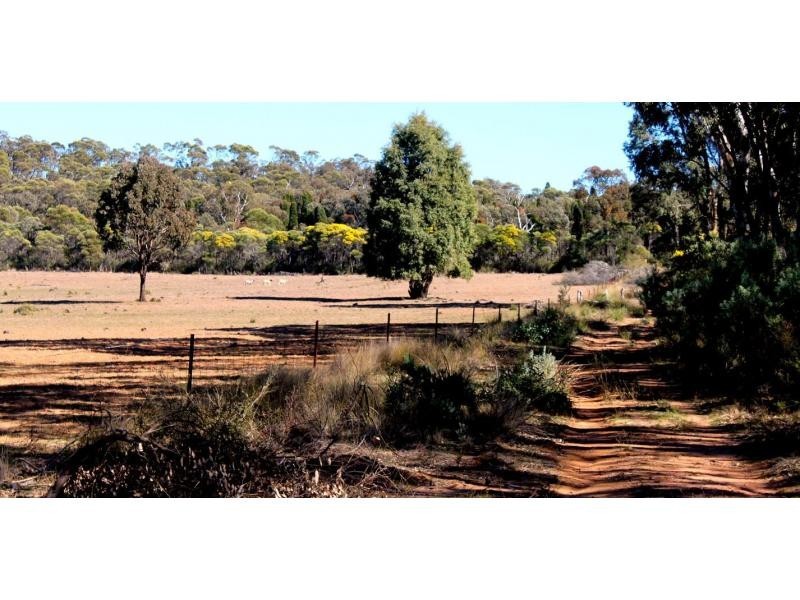 “Pinevale” Boomley Road, Elong Elong NSW 2831