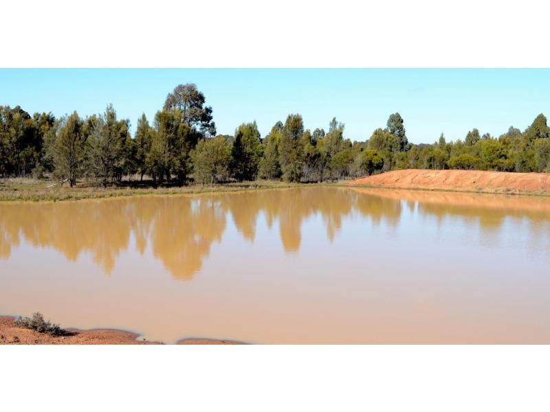 “BURRANAH” Mogriguy Forest Road, Mogriguy NSW 2830