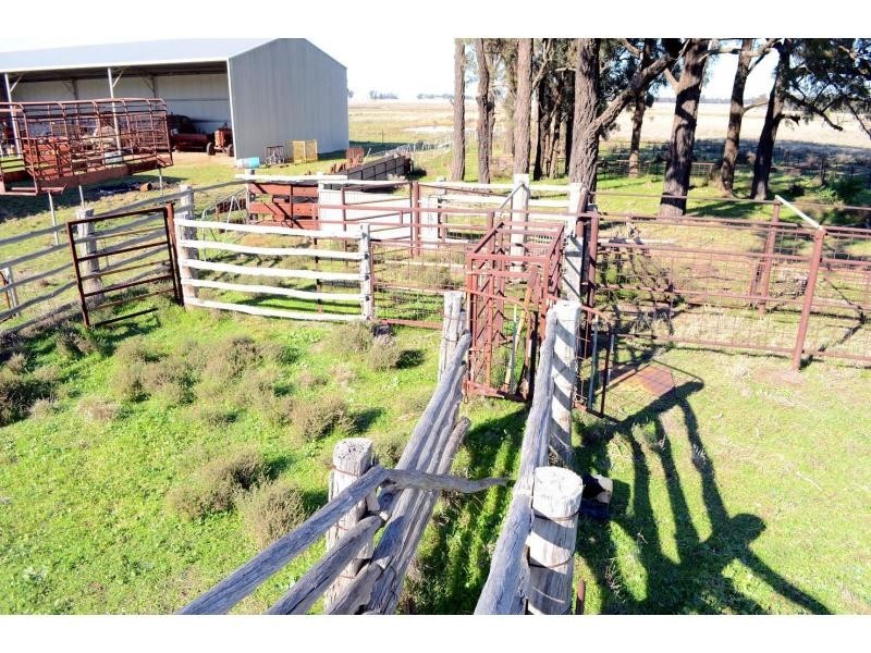 “BURRANAH” Mogriguy Forest Road, Mogriguy NSW 2830