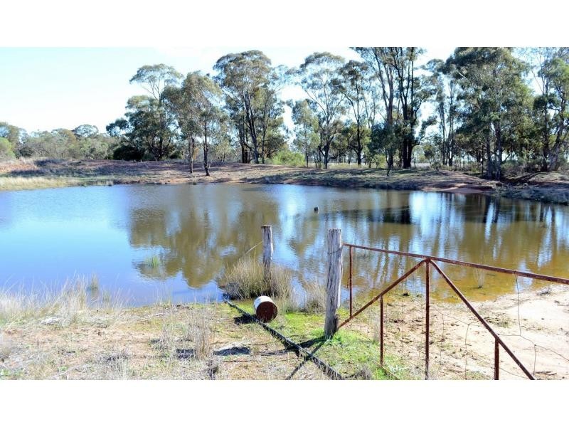 “BURRANAH” Mogriguy Forest Road, Mogriguy NSW 2830