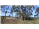 “Greandark” ., Purlewaugh NSW 2357
