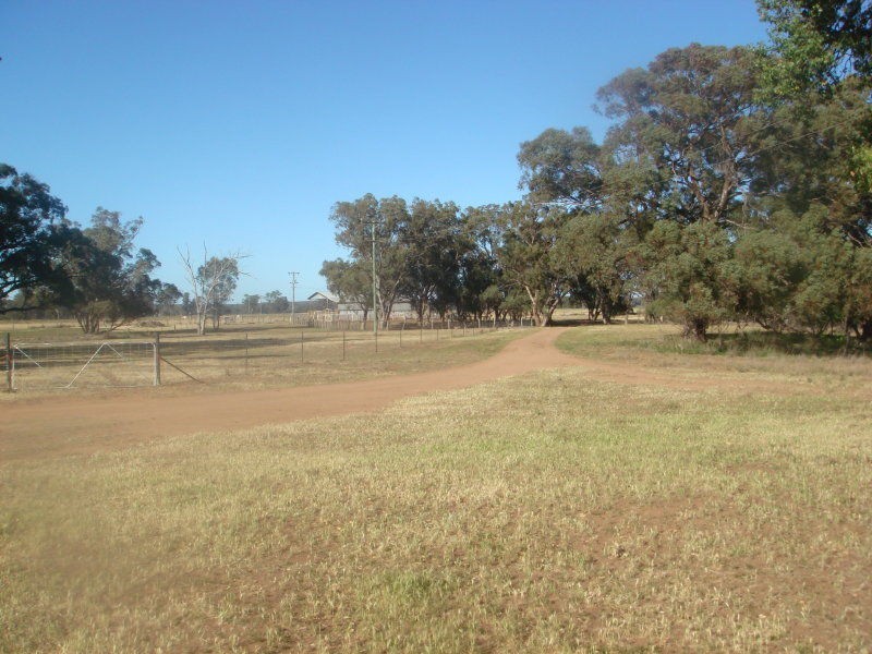3418 Castlereagh Highway, Gilgandra NSW 2827