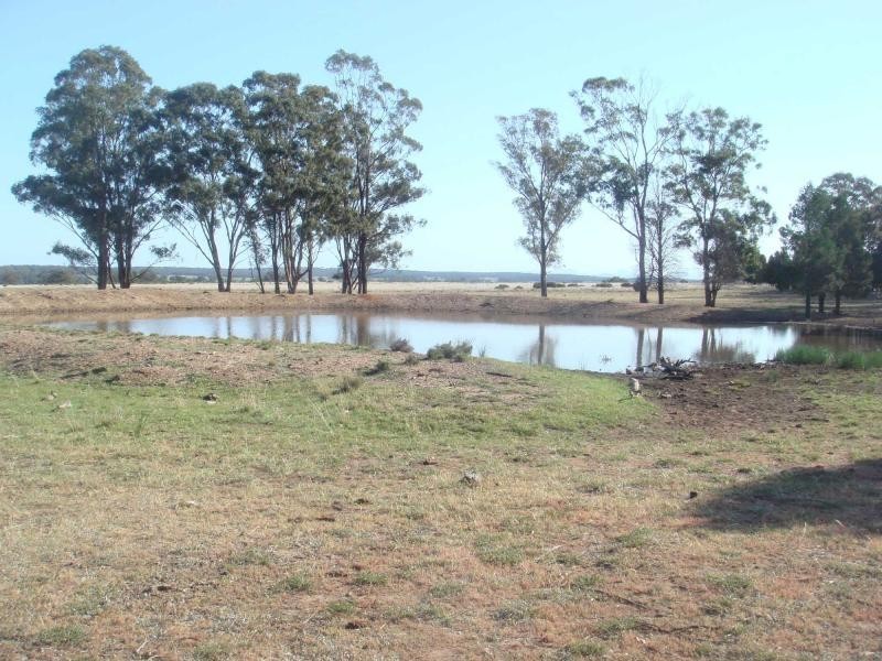 3418 Castlereagh Highway, Gilgandra NSW 2827