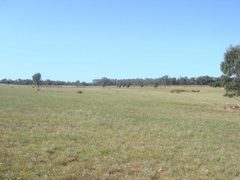 3418 Castlereagh Highway, Gilgandra NSW 2827