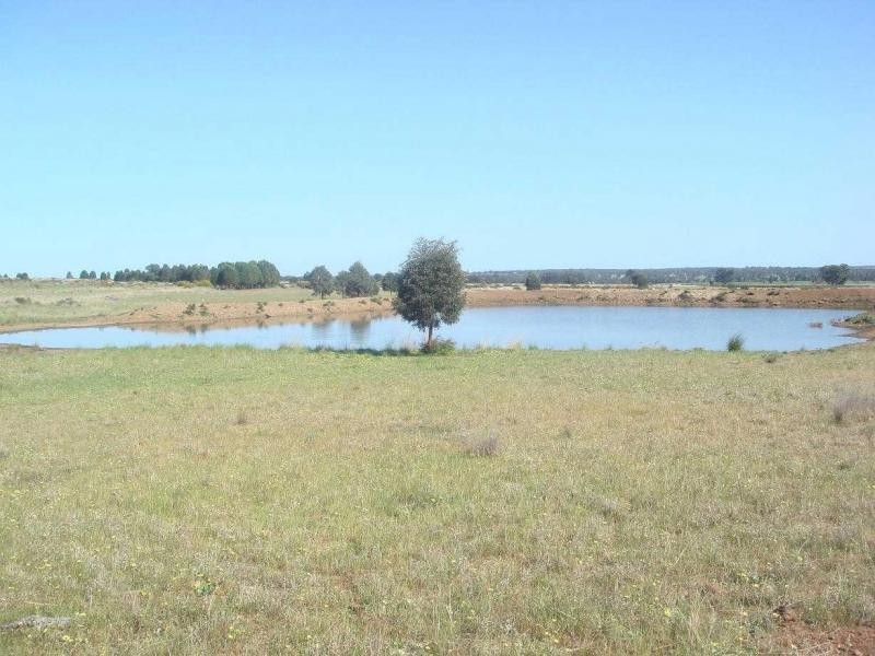 3418 Castlereagh Highway, Gilgandra NSW 2827