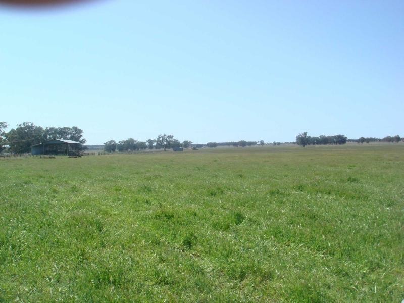 3418 Castlereagh Highway, Gilgandra NSW 2827