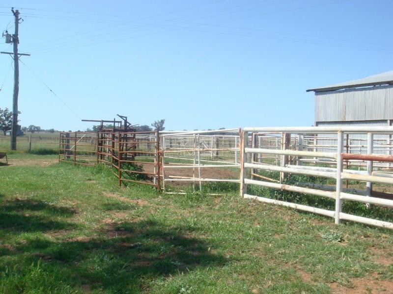 3418 Castlereagh Highway, Gilgandra NSW 2827