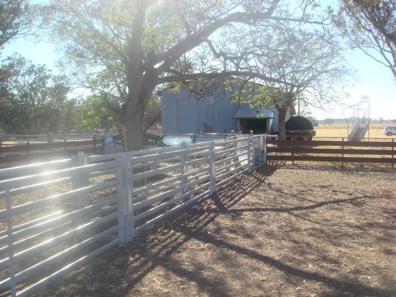 3418 Castlereagh Highway, Gilgandra NSW 2827