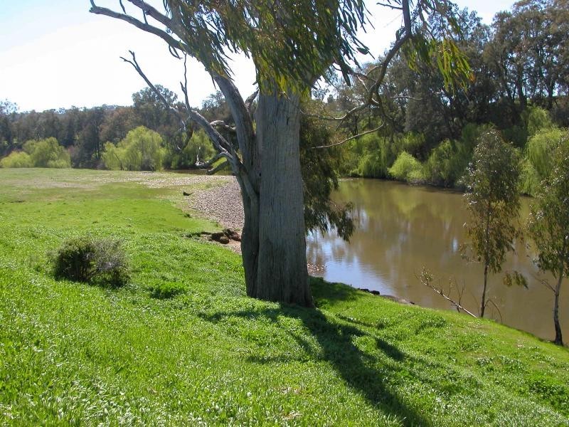 648 River Road, Geurie NSW 2831