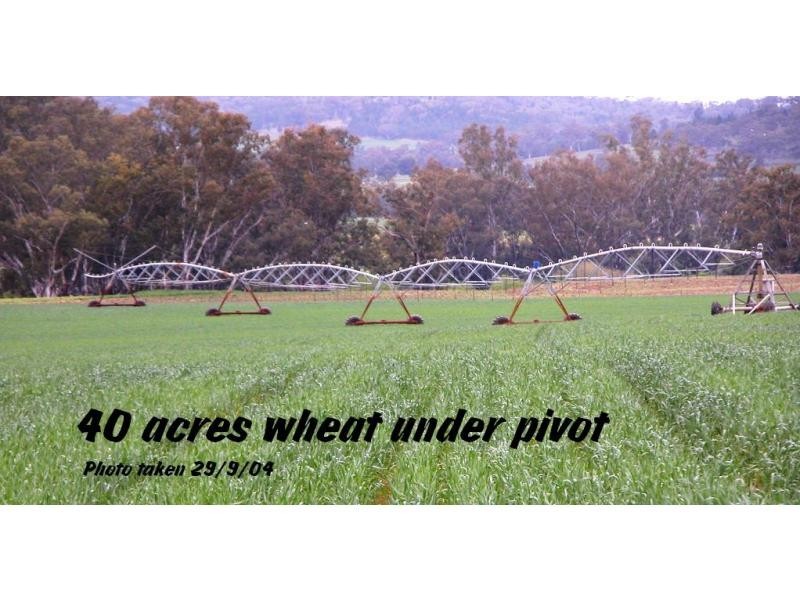 648 River Road, Geurie NSW 2831
