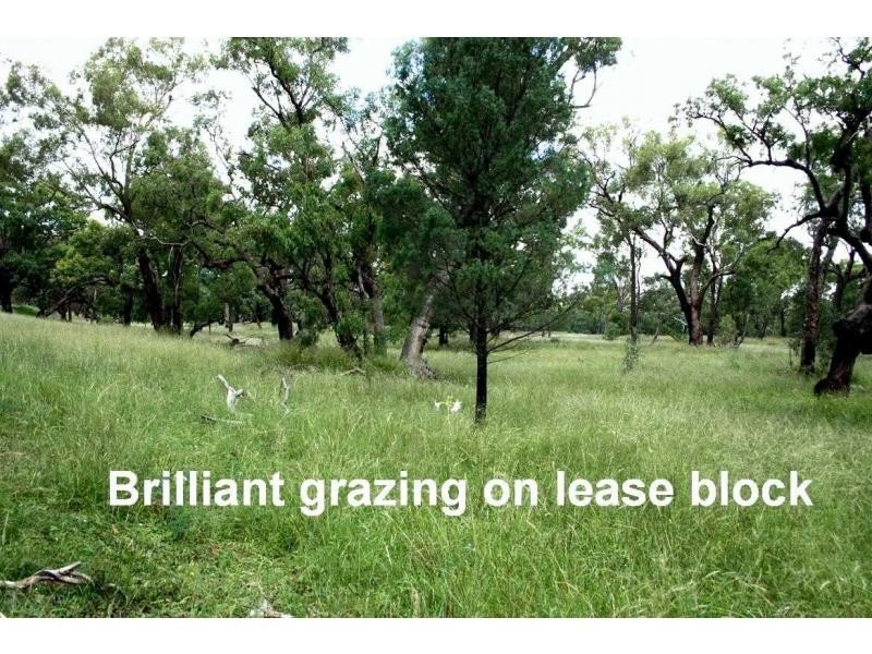 1159 Castlereagh Highway, Mendooran NSW 2842