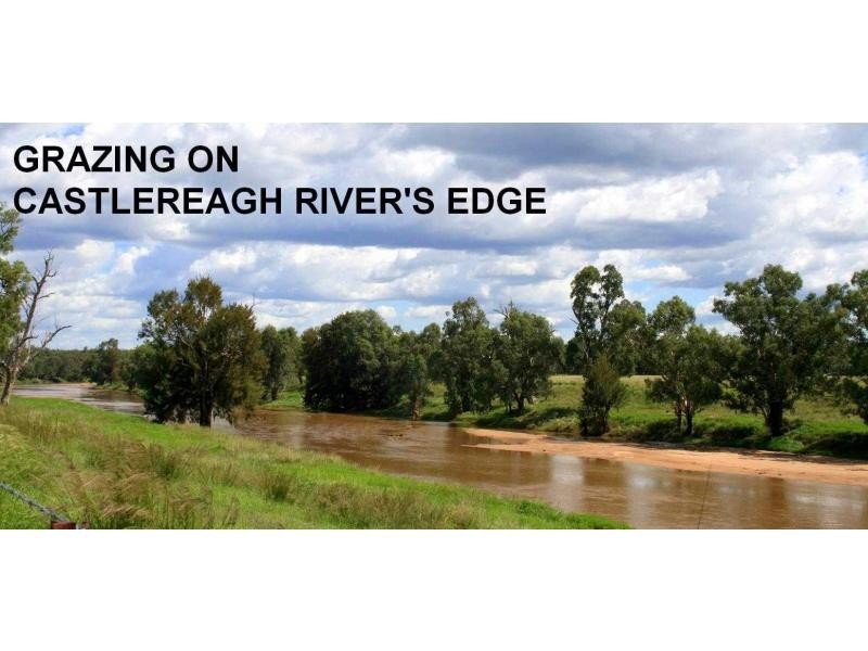 1159 Castlereagh Highway, Mendooran NSW 2842