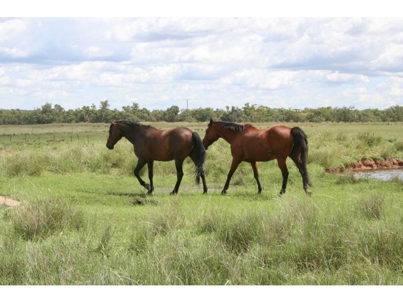 1159 Castlereagh Highway, Mendooran NSW 2842