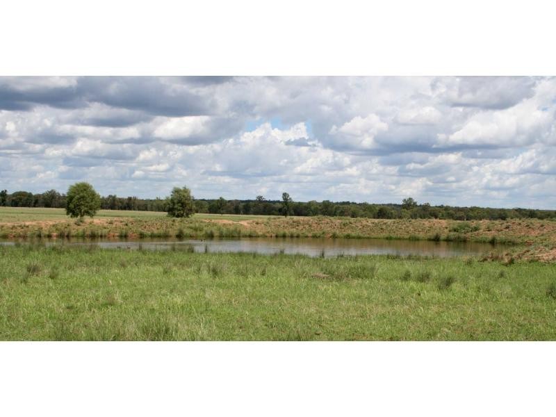 1159 Castlereagh Highway, Mendooran NSW 2842