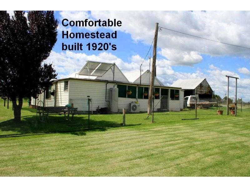 1159 Castlereagh Highway, Mendooran NSW 2842