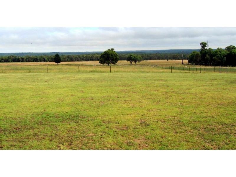 Elong Elong NSW 2831