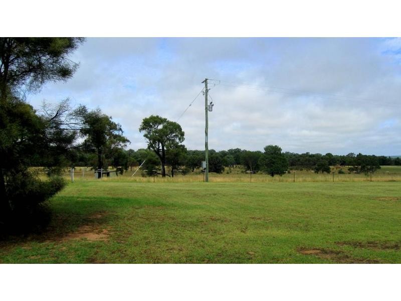 Elong Elong NSW 2831