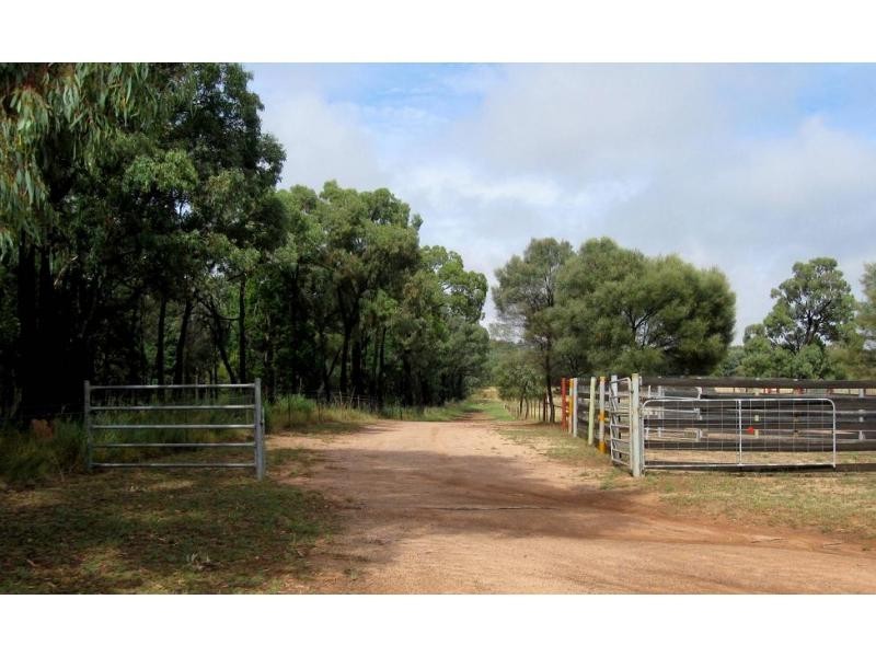 Elong Elong NSW 2831