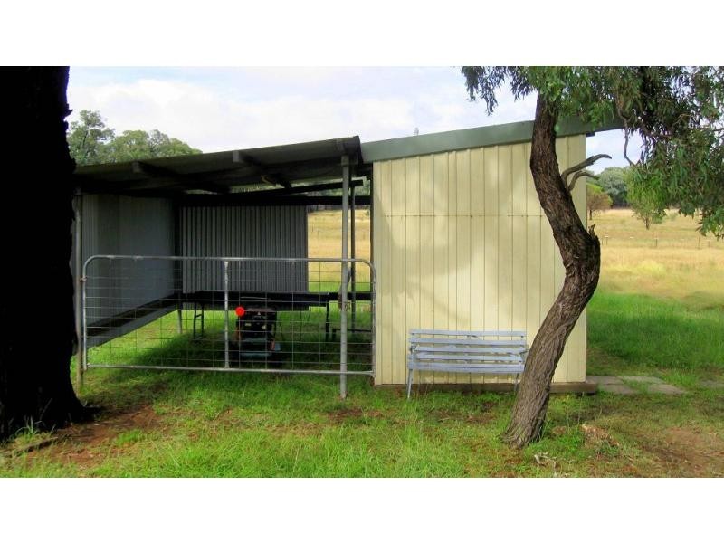 Elong Elong NSW 2831