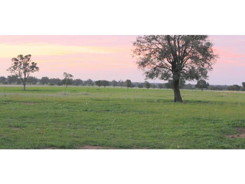 “Bonnievue” 102 Youl Bung Road, Tooraweenah NSW 2831