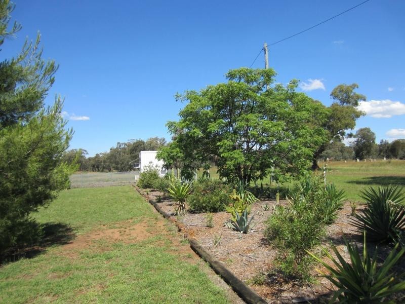 Lot 55 Tucklan Street, Cobbora, Dunedoo NSW 2844