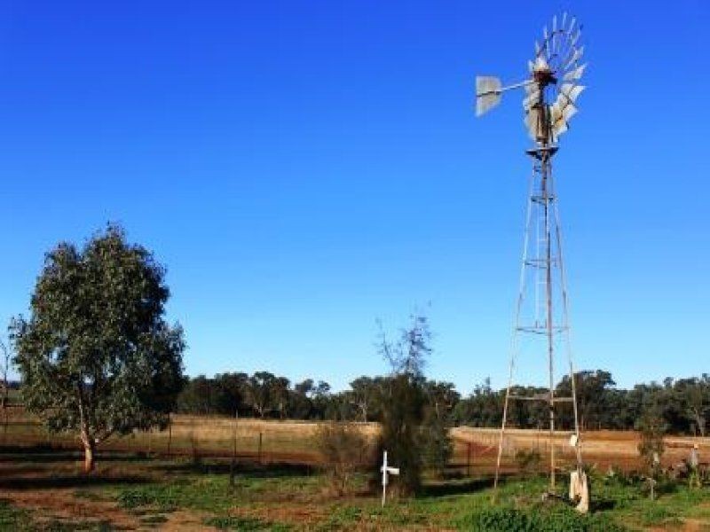 Lot 55 Tucklan Street, Cobbora, Dunedoo NSW 2844