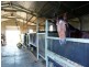 Lot 55 Tucklan Street, Cobbora, Dunedoo NSW 2844