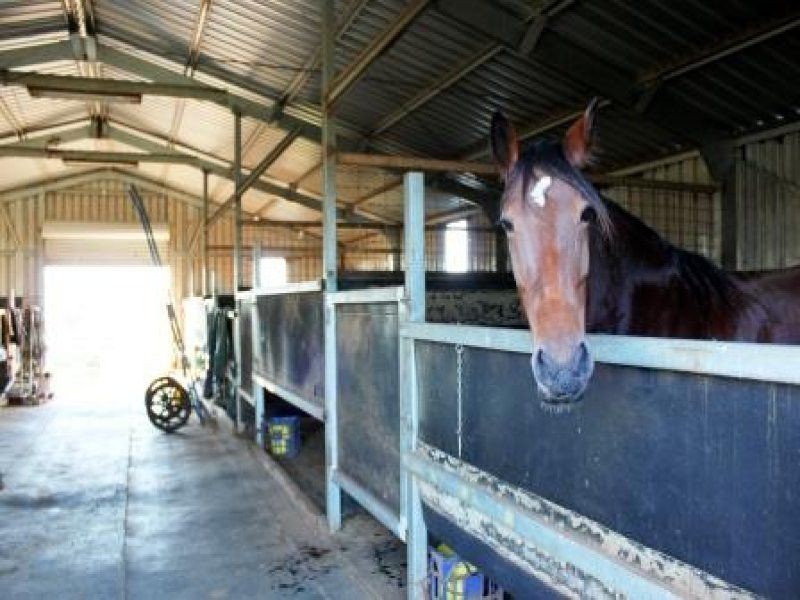 Lot 55 Tucklan Street, Cobbora, Dunedoo NSW 2844