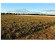 Lot 1 Riverview Road, Gilgandra NSW 2827