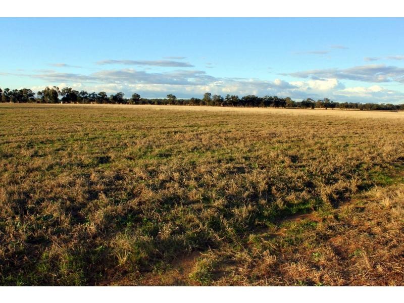 Lot 1 Riverview Road, Gilgandra NSW 2827