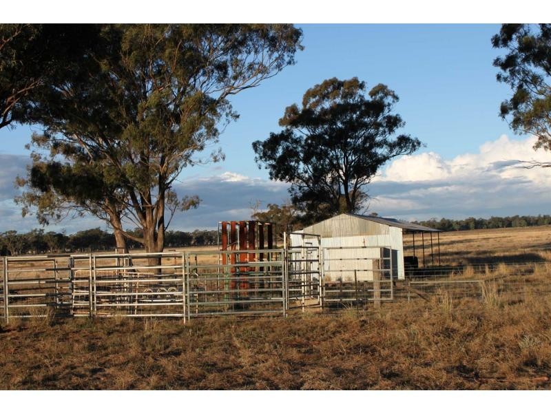 Lot 1 Riverview Road, Gilgandra NSW 2827