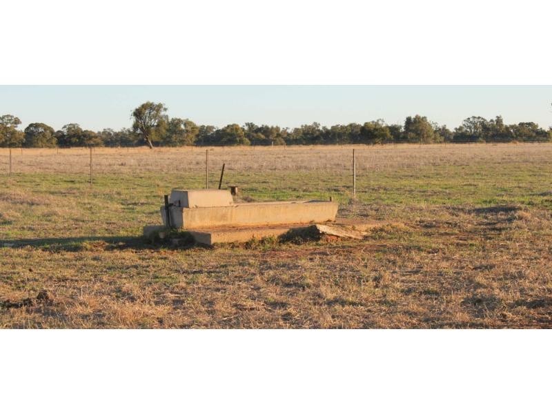 Lot 1 Riverview Road, Gilgandra NSW 2827