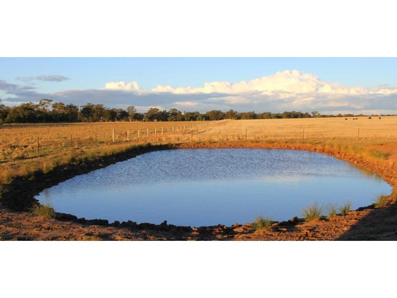 Lot 1 Riverview Road, Gilgandra NSW 2827