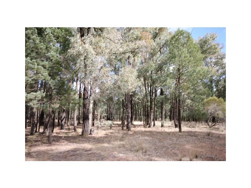 Lot 43 Kowalla Godwins Lane, Dubbo NSW 2830