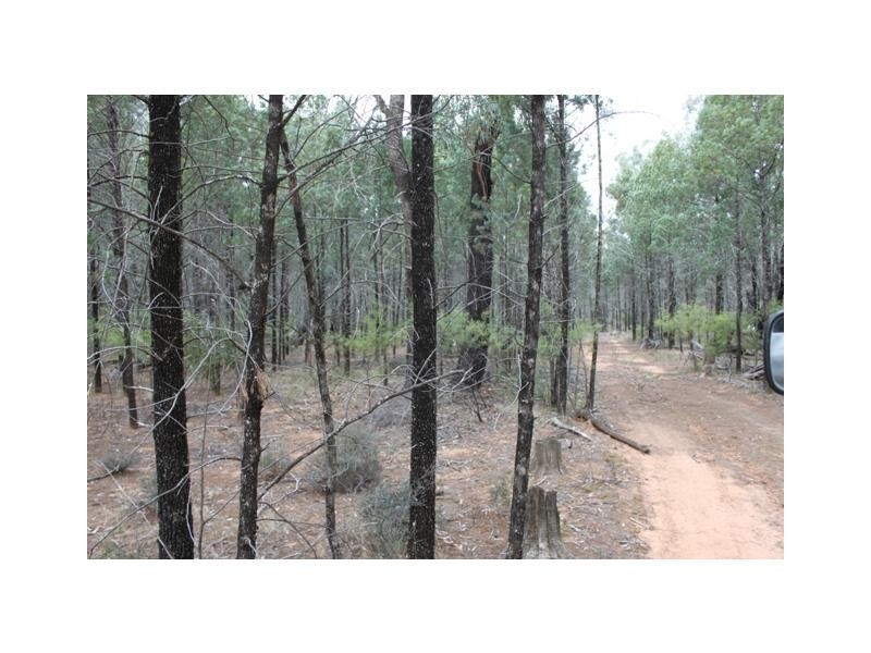 Lot 43 Kowalla Godwins Lane, Dubbo NSW 2830