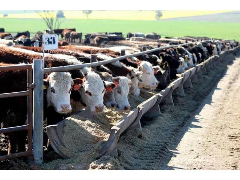 132L Old Dubbo Road, Dubbo NSW 2830