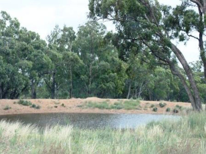 ‘Bridgeview’ Golden Highway, Dubbo NSW 2830