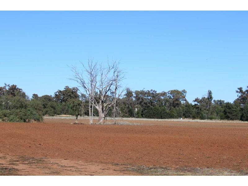 ‘Nullen’ 32 Jackrenshaw Parkway, Tooraweenah NSW 2831