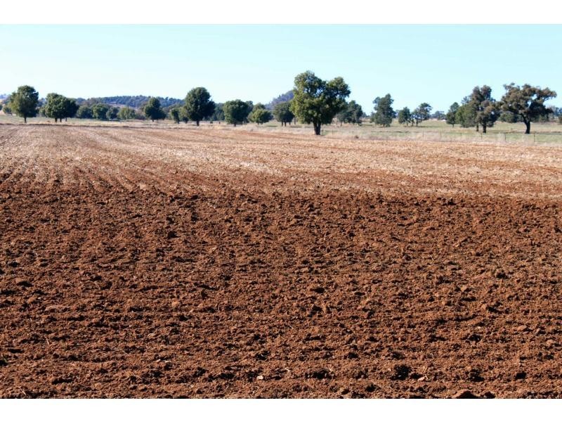 ‘Nullen’ 32 Jackrenshaw Parkway, Tooraweenah NSW 2831