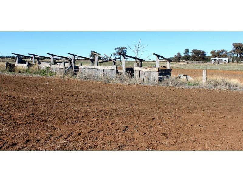 ‘Nullen’ 32 Jackrenshaw Parkway, Tooraweenah NSW 2831