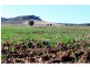 ‘Nullen’ 32 Jackrenshaw Parkway, Tooraweenah NSW 2831