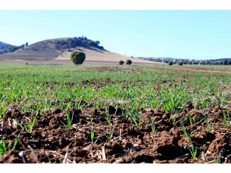 ‘Nullen’ 32 Jackrenshaw Parkway, Tooraweenah NSW 2831