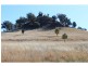 ‘Nullen’ 32 Jackrenshaw Parkway, Tooraweenah NSW 2831