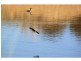 ‘Nullen’ 32 Jackrenshaw Parkway, Tooraweenah NSW 2831