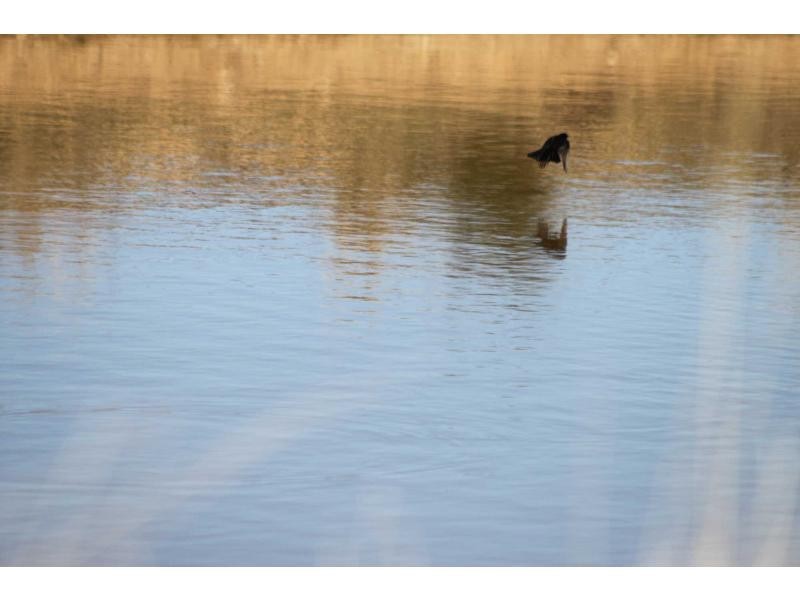 ‘Nullen’ 32 Jackrenshaw Parkway, Tooraweenah NSW 2831