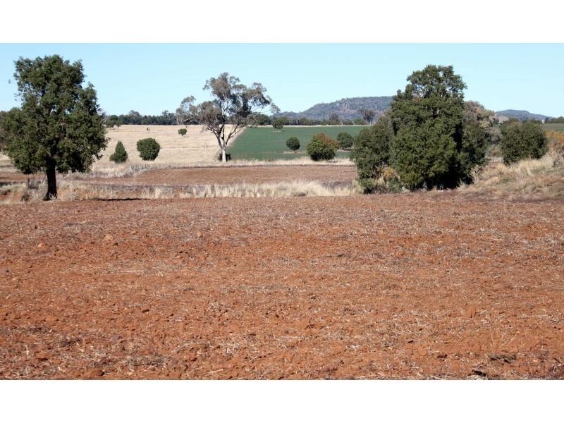 ‘Nullen’ 32 Jackrenshaw Parkway, Tooraweenah NSW 2831