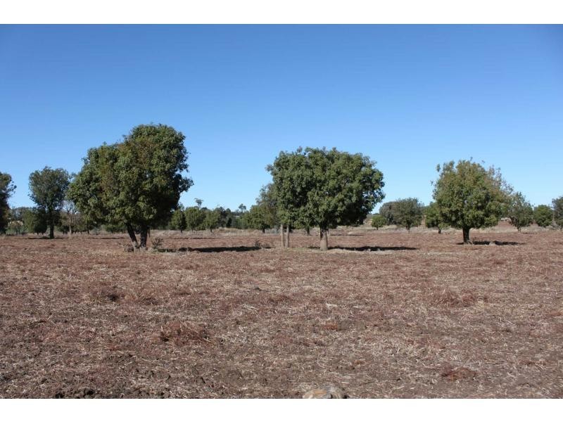 ‘Nullen’ 32 Jackrenshaw Parkway, Tooraweenah NSW 2831