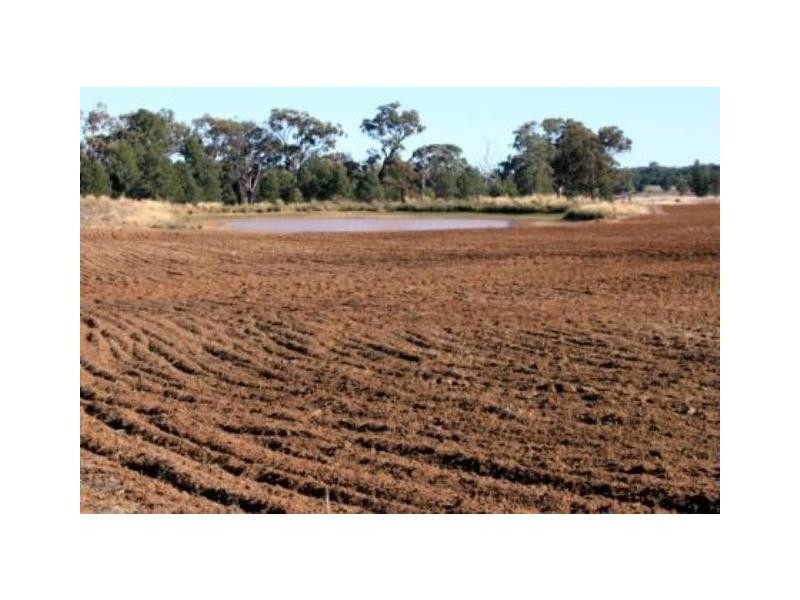 ‘Nullen’ 32 Jackrenshaw Parkway, Tooraweenah NSW 2831